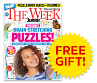 Your free gift: Brain-Stretching Puzzles FREE